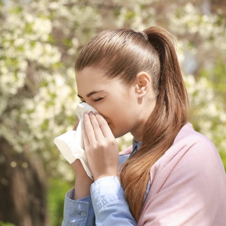 Ratgeber: Allergien, Ekzem, Heuschnupfen