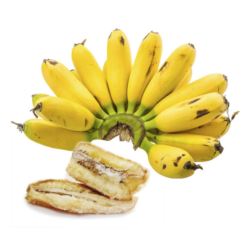 Bio Fairtrade Baby-Bananen bei Vitapower kaufen