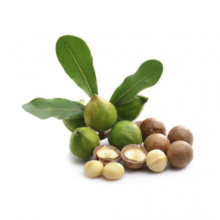 Premium Macadamia, fairtrade, BIO | Vitapowershop