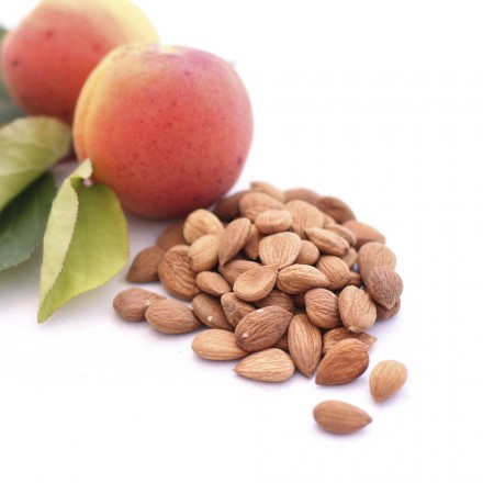 Bittere Aprikosenkerne kaufen bei Vitapower, CH