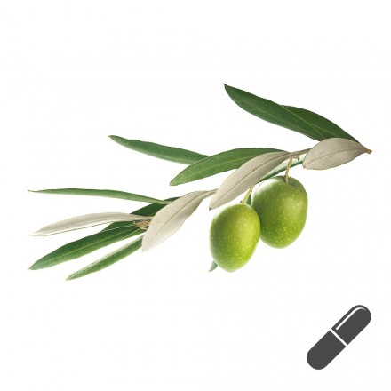 Olivenblätter-Extrakt, 75 Kapseln