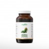 Chlorella Algen kaufen | Vitapowershop