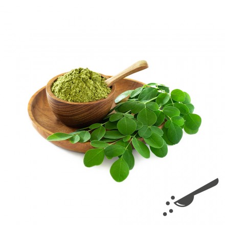 Moringa Pulver, Kapseln, kaufen, Wildsammlung.