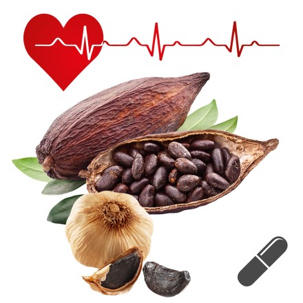 Knoblauch-Kakao Cardiovasc, hier kaufen, Shop.