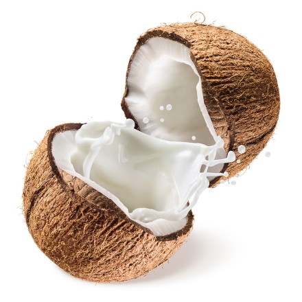 Bio Kokosmus in Premium-Qualität für Kokosmilch