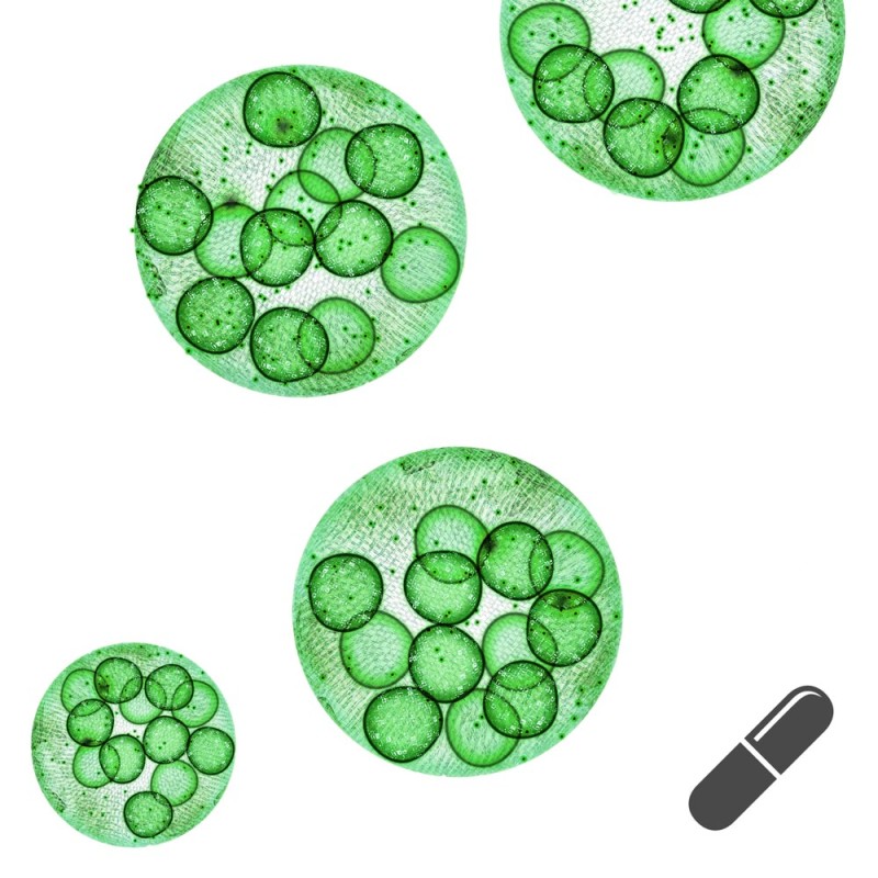Omega-3 Algenöl PLUS, 120 Kapseln