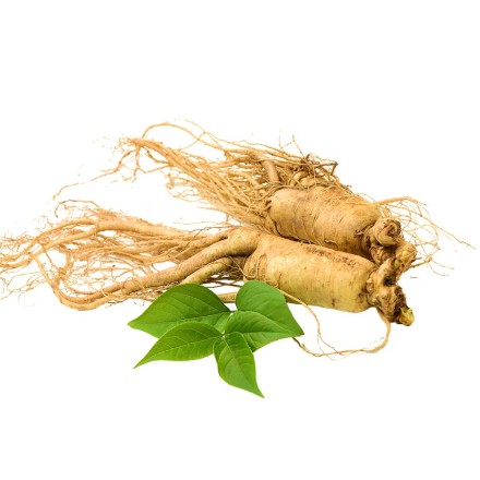Weisses Ginseng-Pulver ungesch&auml;lt hier kaufen