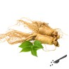 Weisses Ginseng-Pulver ungesch&auml;lt hier kaufen