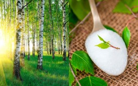 Echter Birkenzucker aus nordischem Laubholz und Xylit-Produkte. Onlineshop.