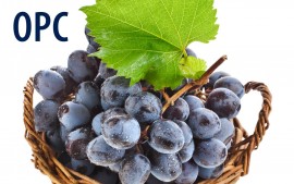 OPC Traubenkernextrakte: Kapseln hier kaufen. Antioxidativ.