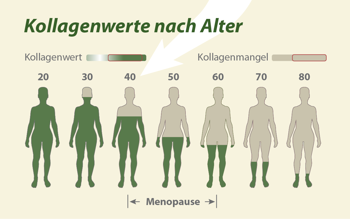 Kollagenproduktion bei Frauen abh&auml;ngig vom Alter