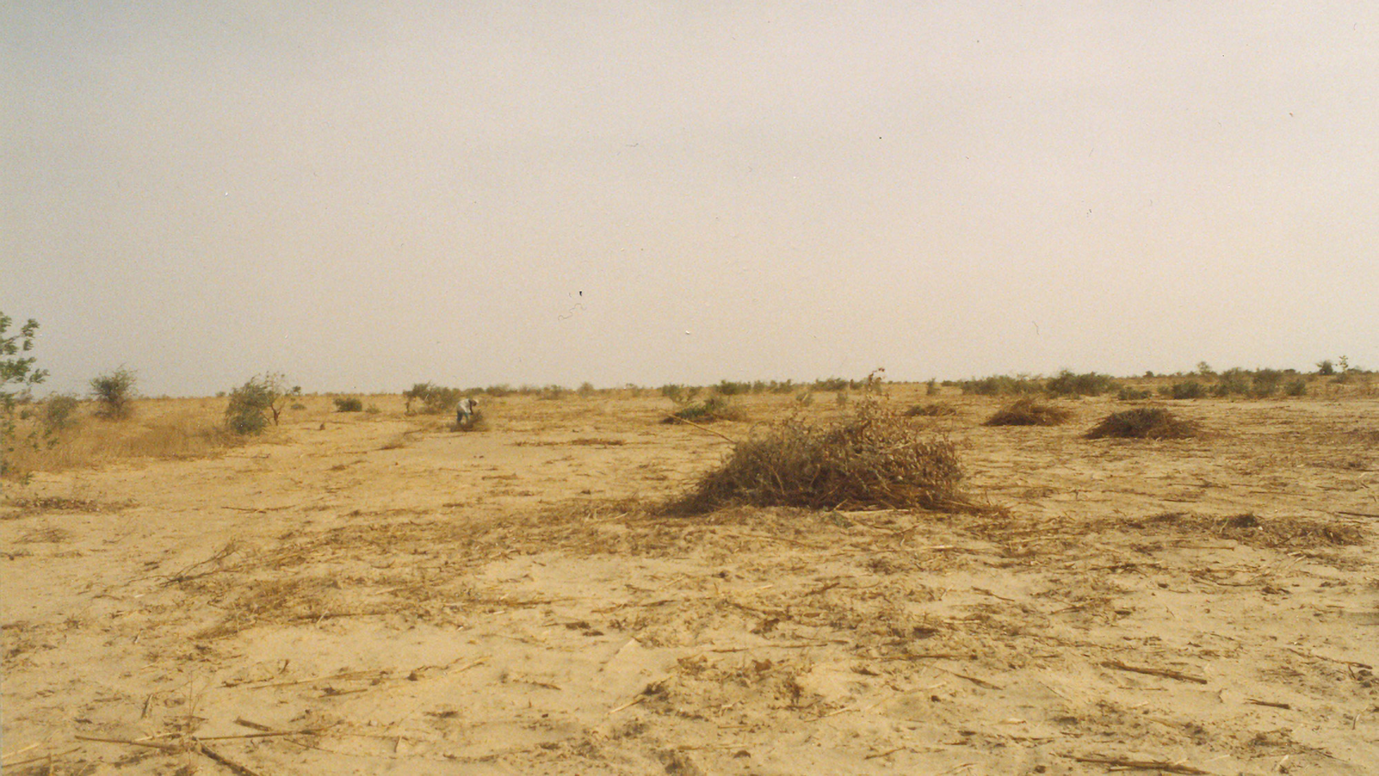 Traditional Land Management