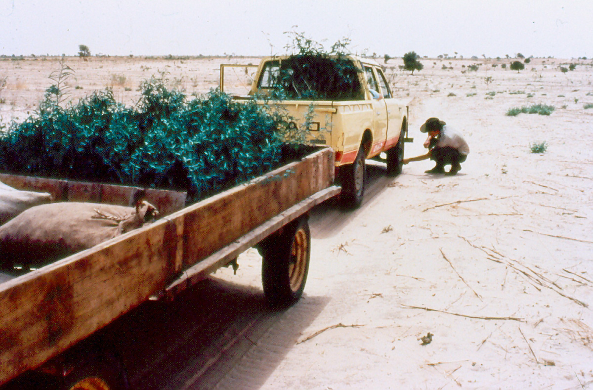 Trailor circa 1983, l&auml;sst Luft raus