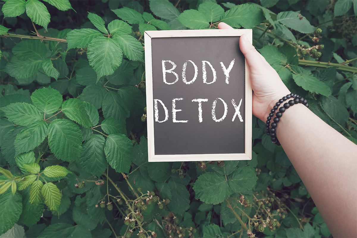 Person h&auml;lt kleine Tafel mit den Worten Body Detox, im Hintergrund Beerenbl&auml;tter