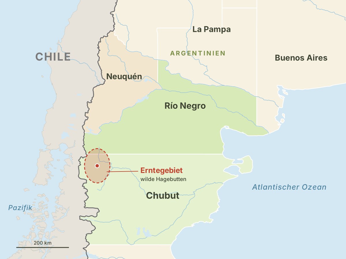 Karte von Nordpatagonien mit dem Erntegebiet der wilden Hagebutten im Nordwesten von Chubut