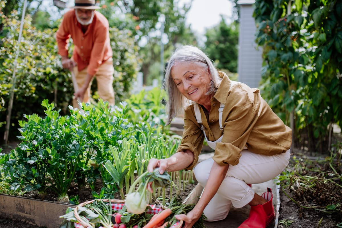 Aktive Seniorin bei der Gartenarbeit, sinnbildlich für bewegliche Gelenke