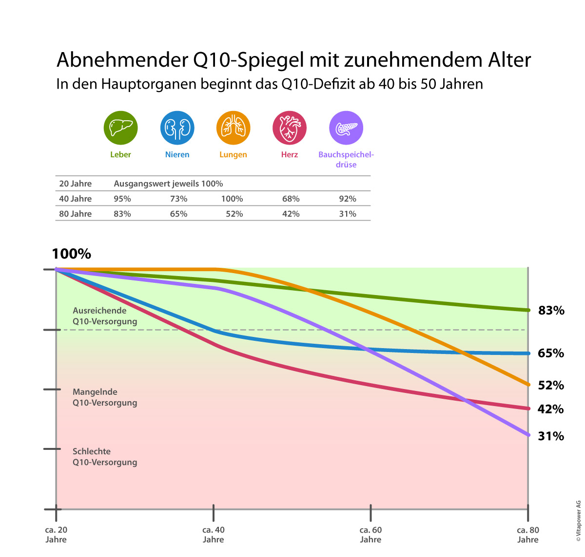 Abnehmender Q10-Spiegel mit zunehmendem Alter in Leber, Nieren, Lungen, Herz und Bauchspeicheldrüse