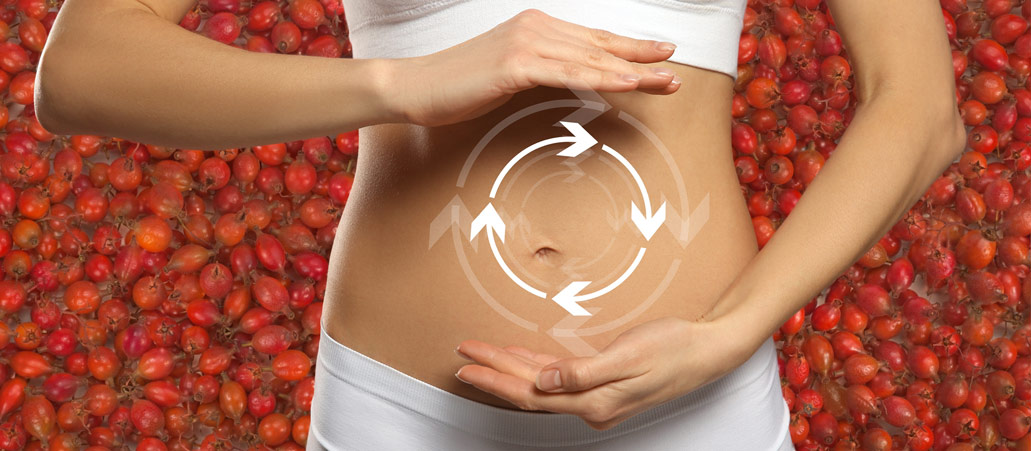 Hagebuttenpulver liefert Pr&auml;biotika, das wirkt sich positiv auf den Darm aus