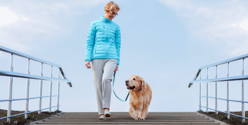 Bewegliche vitale Frau spaziert mit Hund, Golden Retriever