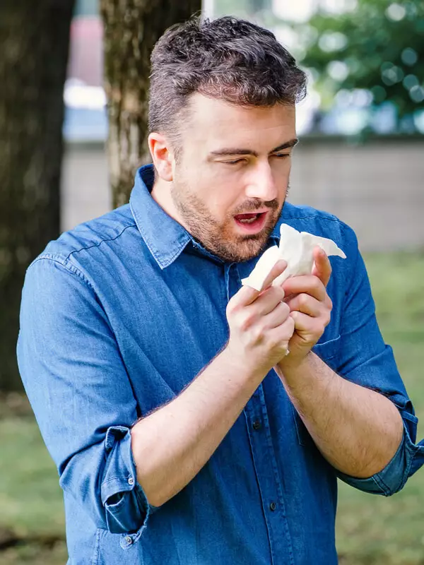 Biene und Schmetterling auf einer Blüte – Symbol für Honig/Blütenpollen (Energie/Stoffwechsel)
