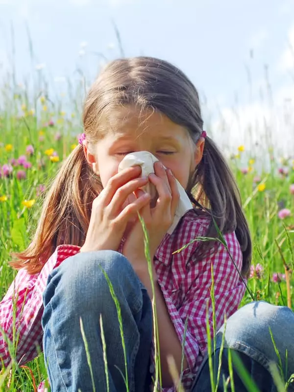 Biene und Schmetterling auf einer Bl&uuml;te &ndash; Symbol f&uuml;r Honig/Bl&uuml;tenpollen (Energie/Stoffwechsel)