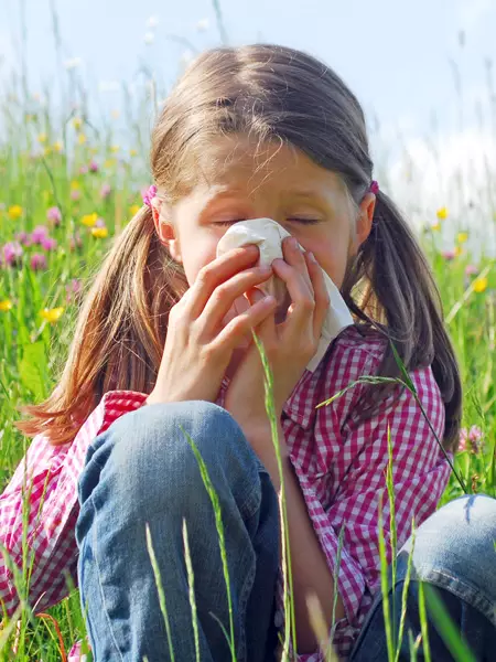 Biene und Schmetterling auf einer Blüte – Symbol für Honig/Blütenpollen (Energie/Stoffwechsel)