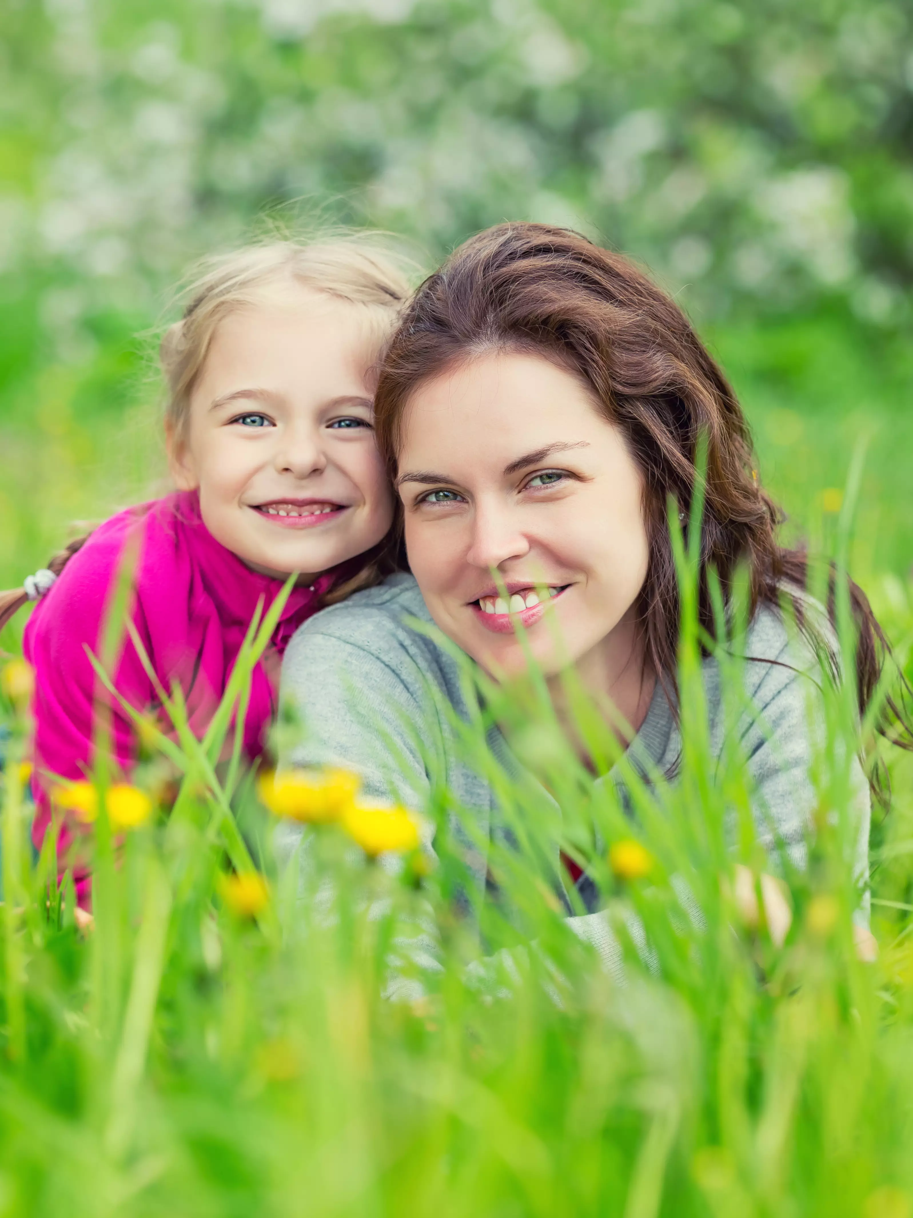Biene und Schmetterling auf einer Bl&uuml;te &ndash; Symbol f&uuml;r Honig/Bl&uuml;tenpollen (Energie/Stoffwechsel)