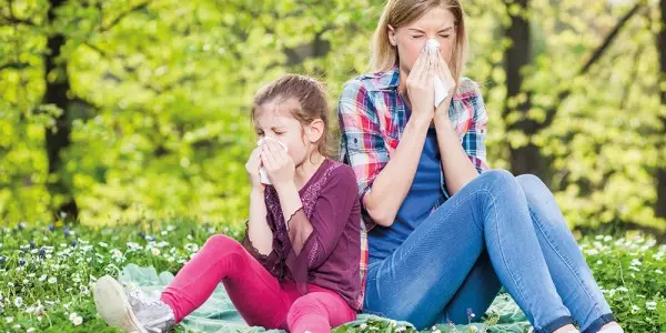 Heuschnupfen – natürliche und nachhaltige Lösungen