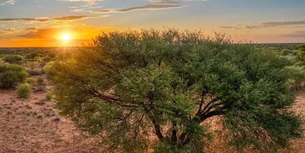 Hoffnung f&uuml;r W&uuml;sten-Regionen