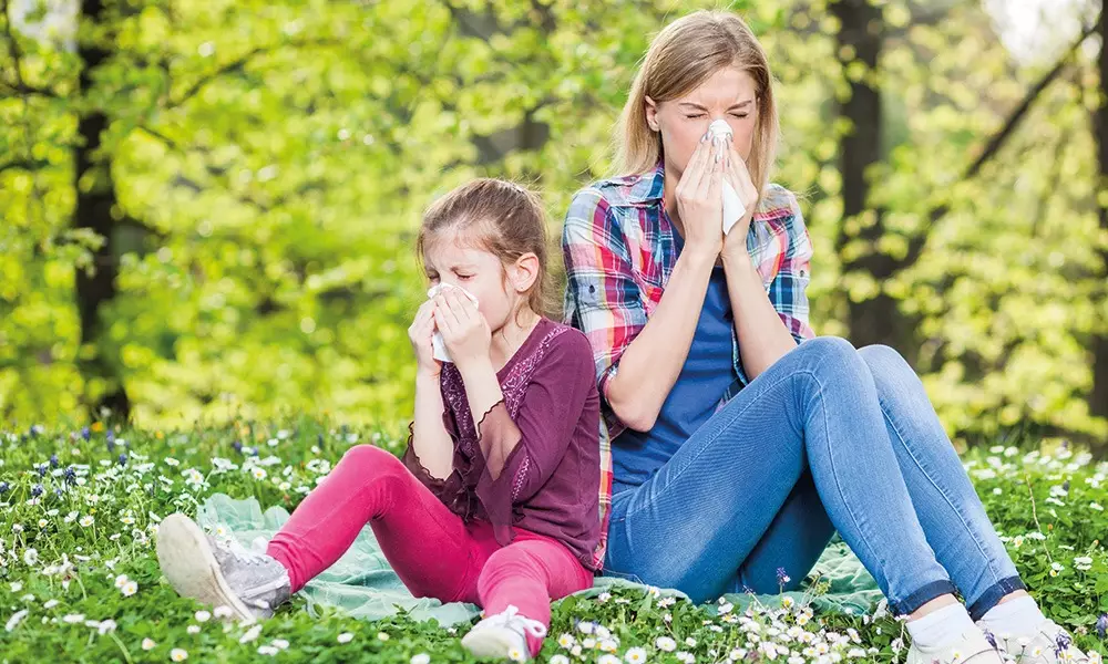 Heuschnupfen – natürliche und nachhaltige Lösungen