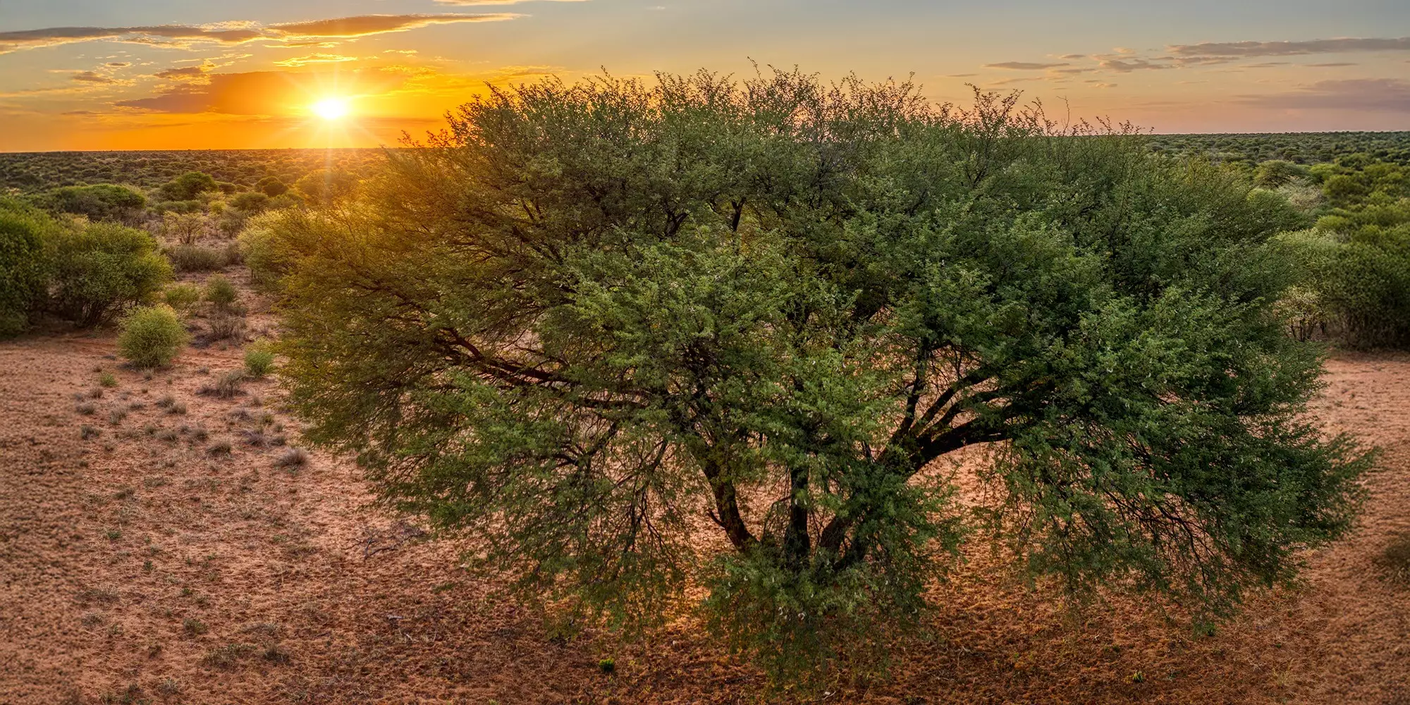 Hoffnung f&uuml;r W&uuml;sten-Regionen