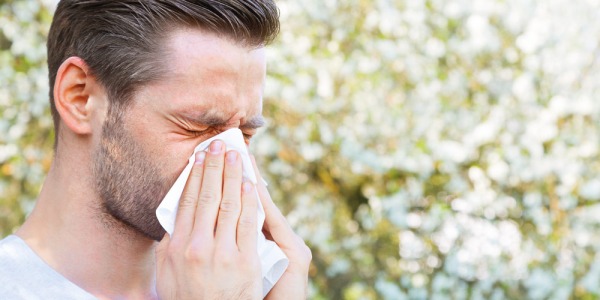 Allergien: Wenn das Immunsystem verrückt spielt