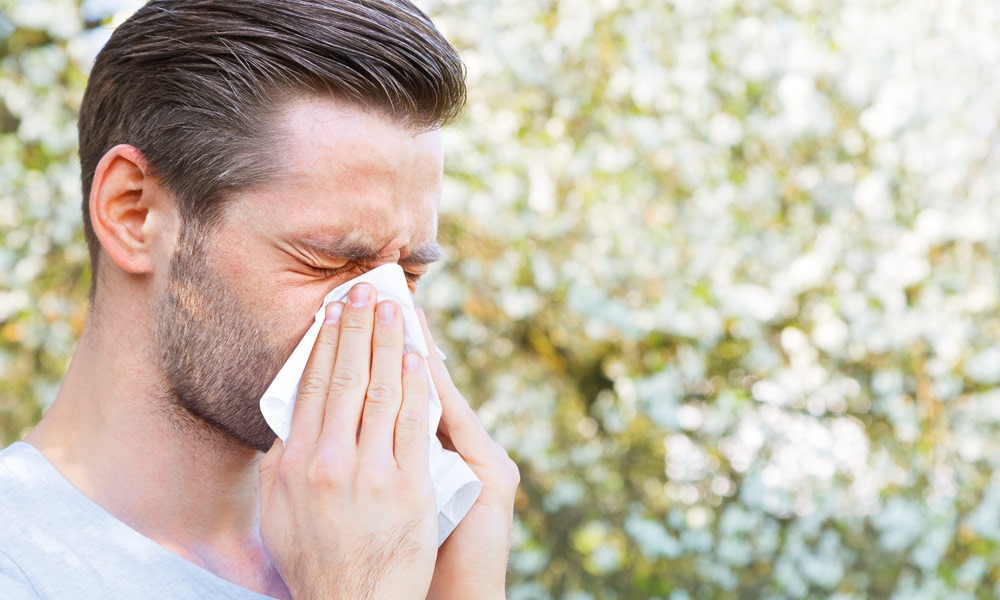 Allergien: Wenn das Immunsystem verrückt spielt
