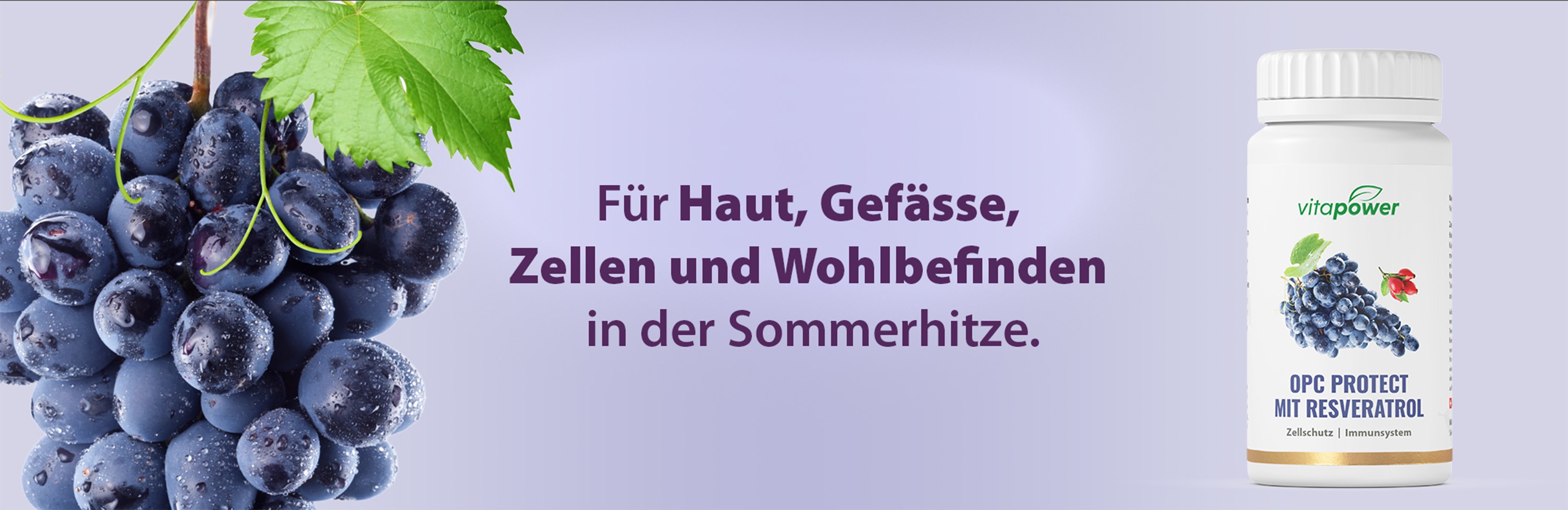 Sommerschutz f&uuml;r Haut und Gef&auml;sse 