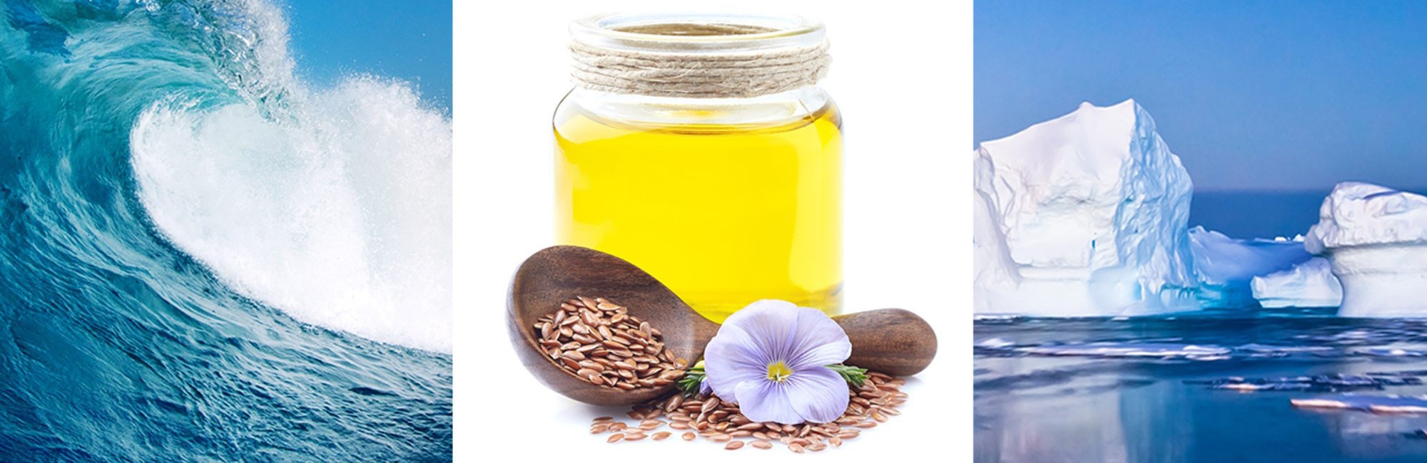 Omega-3-Spezialit&auml;ten